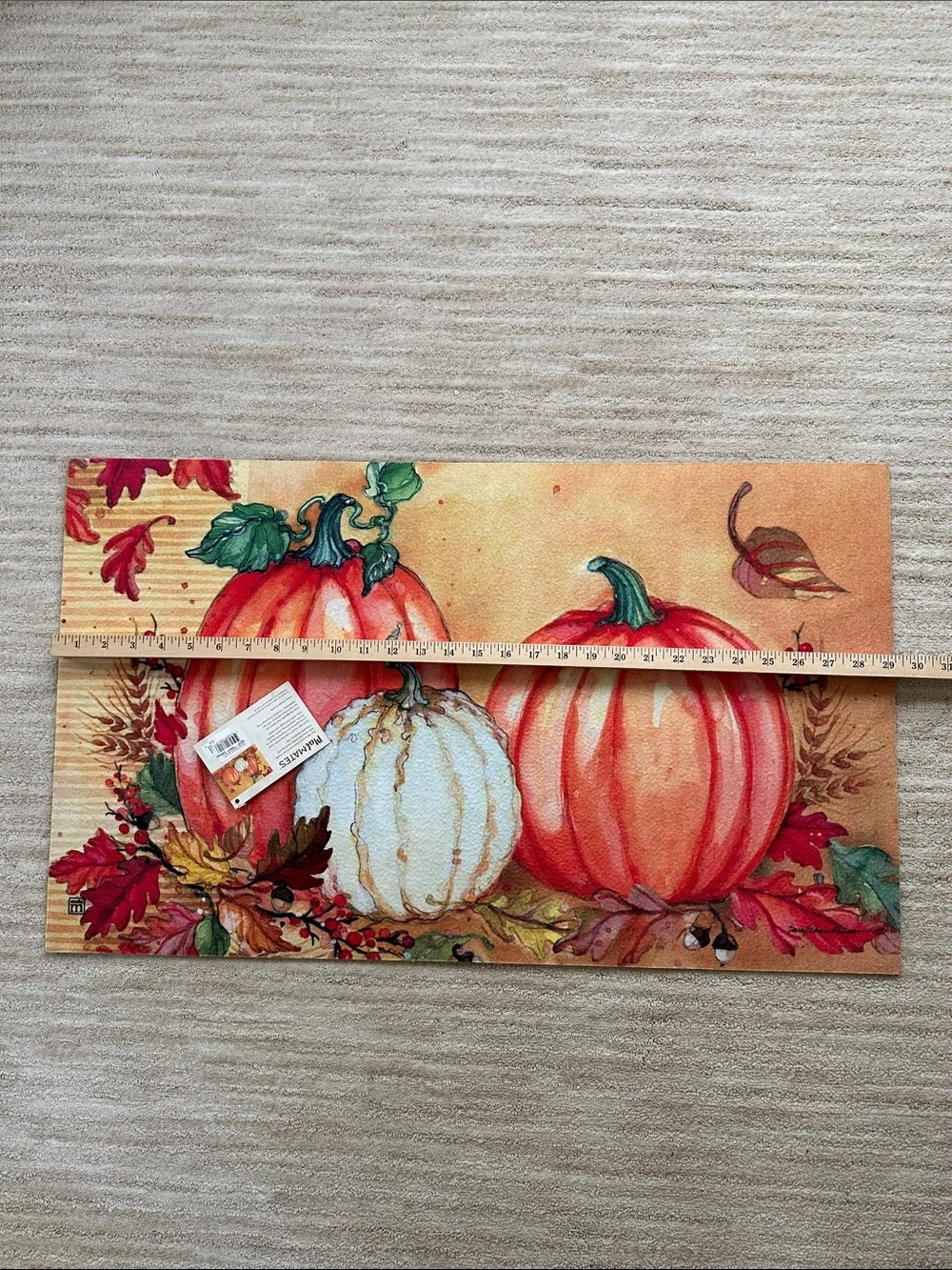 Door mat MatMates Studio M Pumpkin Fall Season Entryway 18x30